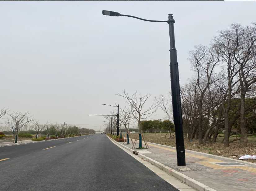 河池市上海综合杆 太阳能路灯工程